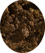 Click for more info on EARTH ELEMENT