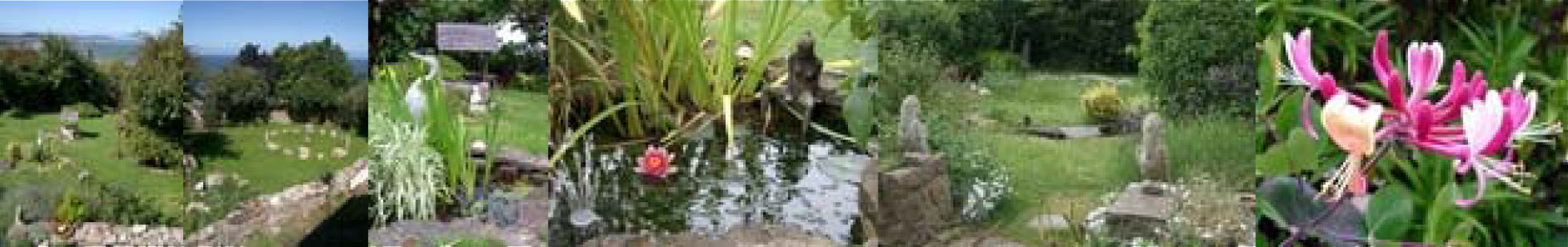 Healing Dao Centre - WALES