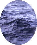 Click for more info on WATER ELEMENT